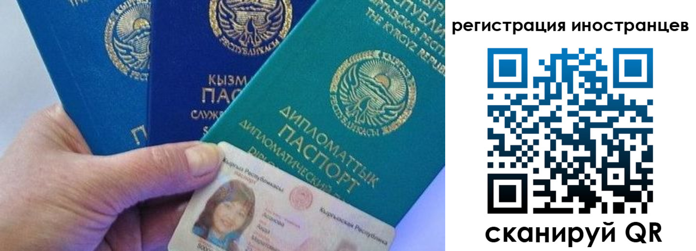 прописка в Купино